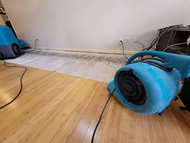 Professional Water Damage Repair technician working in Covington, IN